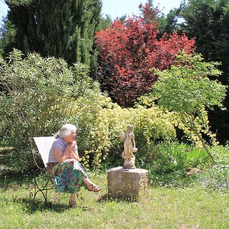Gite Derrière les Oliviers -Le Mas de la Cigale Bleue Caumont-sur-Durance Extérieur photo