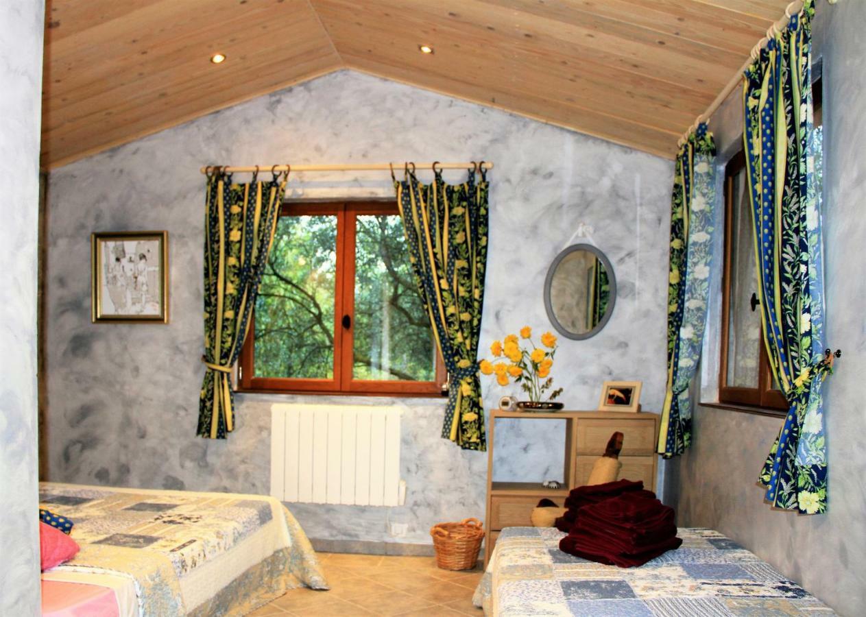 Gite Derrière les Oliviers -Le Mas de la Cigale Bleue Caumont-sur-Durance Extérieur photo
