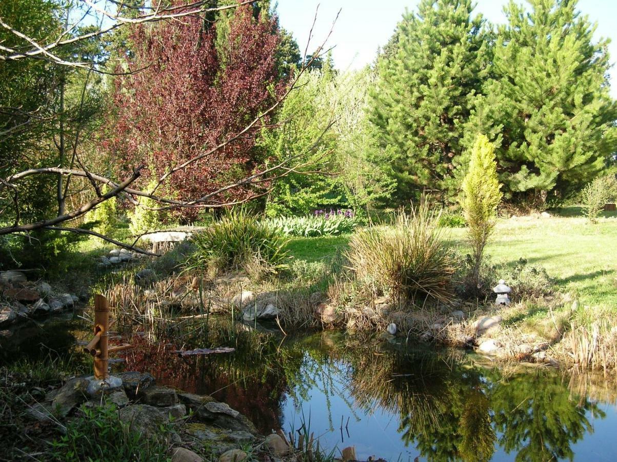 Gite Derrière les Oliviers -Le Mas de la Cigale Bleue Caumont-sur-Durance Extérieur photo